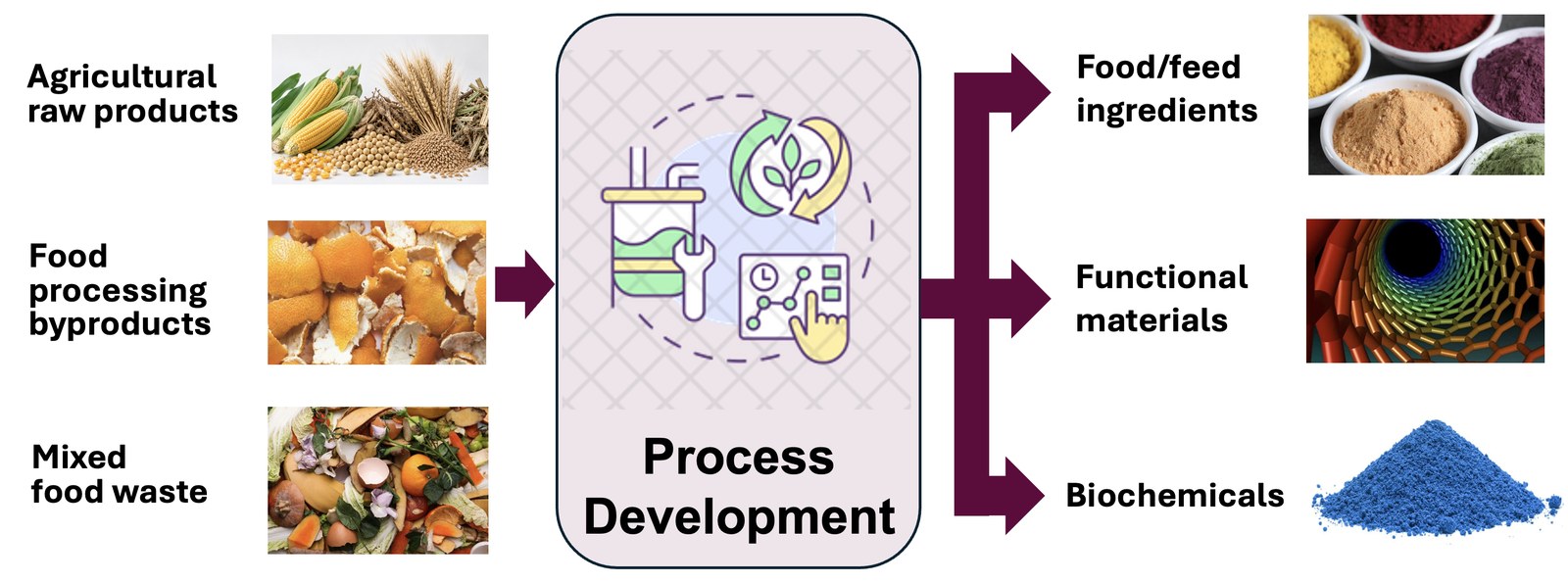 Overview diagram: agricultural raw products, food processing byproducts, and mixed food waste undergo process development to become food and feed ingredients, functional materials, and biochemicals