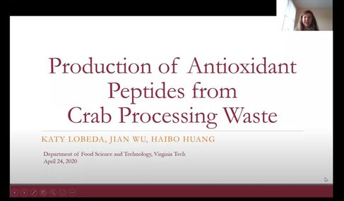 Katy Lobeda's research presentation slide